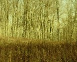 exithumanitypic (4)